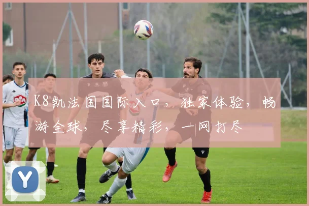 K8凯法国国际入口，独家体验，畅游全球，尽享精彩，一网打尽