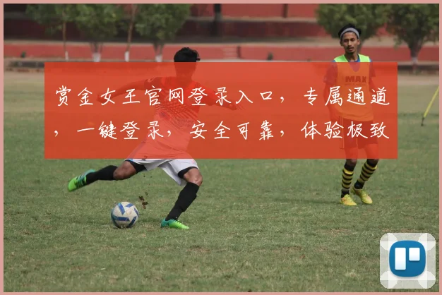 赏金女王官网登录入口，专属通道，一键登录，安全可靠，体验极致