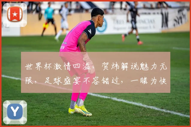 世界杯激情四溢，贺炜解说魅力无限，足球盛宴不容错过，一睹为快