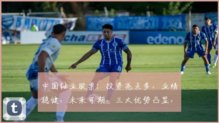 中国铀业股票：投资亮点多，业绩稳健，未来可期，三大优势凸显，不容错过