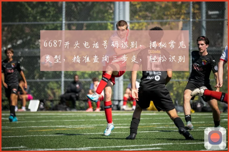 6687开头电话号码识别，揭秘常见类型，精准查询三步走，轻松识别真假号码