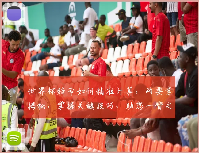 世界杯赔率如何精准计算，两要素揭秘，掌握关键技巧，助您一臂之力